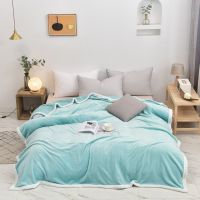 牛奶绒毛毯被子四季可用双面绒午休毯加厚盖毯空调毯单双人毛巾被