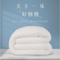 新疆棉花被棉被春秋被子冬被棉絮全棉纯棉胎被芯单人垫被学生被褥