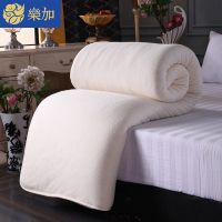 棉花被芯新疆棉被子冬被加厚保暖棉絮床垫被褥子被子春秋棉胎