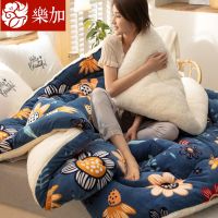 牛奶绒被子冬被双面绒加厚保暖冬季单双人羊羔绒学生被褥儿童被芯