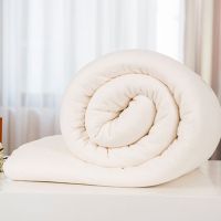 棉絮棉被棉胎盖被垫被学生棉被子被芯单双人被褥子加厚床垫春秋冬