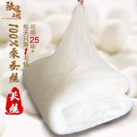 桐乡正宗手工蚕丝被桑蚕丝春秋被空调被冬被子母被芯单双人被