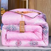 桑丝被加厚冬被春秋被夏凉被学生单人双人棉被芯空调被夏天薄被子