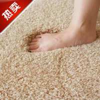 加厚羊羔绒地毯卧室客厅沙发茶几地毯床边少女心飘窗榻榻米地垫