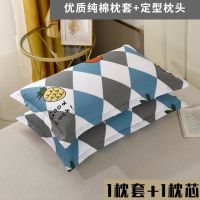 枕套一对装成人枕头加厚枕套不起球不掉色学生枕头套