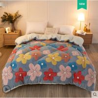 双面绒羊羔绒被子冬被宿舍单人学生加厚保暖四季通用棉被超厚双人