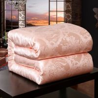 蚕丝被特价蚕丝被桑蚕丝被加厚保暖冬被春秋被空调被