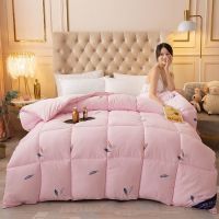特价高品质羽丝绒棉被子加厚保暖冬被子单双人学生春秋被