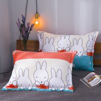 48x74冬季加厚保暖珊瑚绒毛绒枕套枕头罩