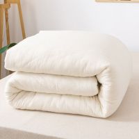 棉被被子冬被春秋被芯棉絮床垫被褥单人学生棉胎