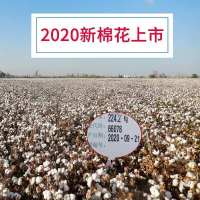 新疆棉被棉花被子棉絮被芯纯棉花冬被手工全棉加厚床垫被棉胎网套