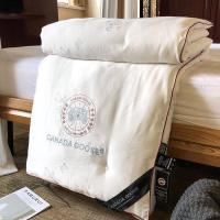 出口加拿大手工大鹅蚕丝被全棉空调被夏凉被春秋被子被芯10斤冬被