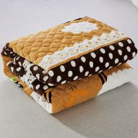 法兰绒床垫榻榻米床褥子学生宿舍单双人保暖垫被特价