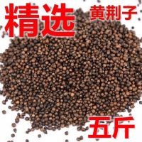 黄荆子布惊子布惊仁黄荆籽荆棵籽儿童枕头填充物布荆子黄荆子枕头