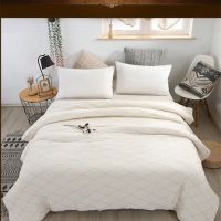 棉絮棉被学生宿舍床垫棉花被子被芯单人垫被春秋冬被加厚保暖棉被