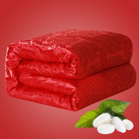 天然蚕丝被子被芯被春秋被冬被夏被礼品单双人学生被