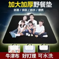 防水牛津布郊游春游防潮垫子帐篷野餐垫野外草坪加厚户外地垫毯子
