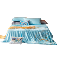 家纺被芯夏天可水洗蚕丝被桑蚕丝夏凉空调被单双人被子