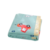 全棉儿童空调被纯棉幼儿园宝宝夏凉被可水洗夏天薄款婴儿小薄被子