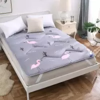 四季通用可水洗床垫床护垫榻榻米防滑保护垫床褥子单双人学生宿舍P4