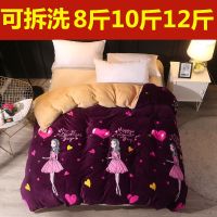 特厚款被子冬被羊羔绒棉被可拆洗加厚学生宿舍被芯1.5/1.8/2.0米E2