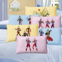 儿童纯棉枕套幼儿园小号枕头30504060学生单人枕芯枕套奥特曼枕头B4