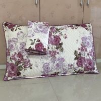 枕套一对单人纯棉成人全棉枕芯套枕头套子双人枕长枕头套夹棉加厚X1