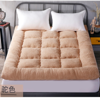 羽绒棉床垫榻榻米加厚10cm五星级酒店软床褥可折叠1.5m1.8米垫被
