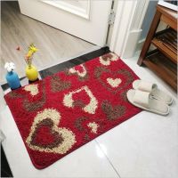 门口地毯门垫进门垫客厅地毯卧室地毯垫脚垫门口地毯垫可定制