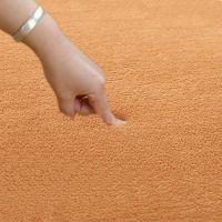 家用绒地毯卧室床边满铺客厅沙发茶几房间宝宝爬行可定制