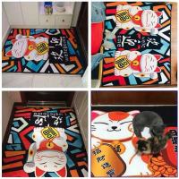 地毯门垫进门入户家用卫生间浴室厨房吸水防滑垫玄关垫子定制