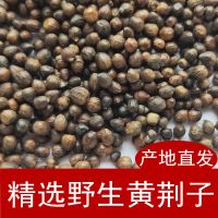 黄荆子枕头枕芯填充物布惊籽布荆仁黄金子黄金籽安枕保健