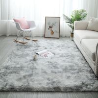 客厅地毯北欧加厚长毛地毯网红同款可爱现代满铺卧室床边毯可定制