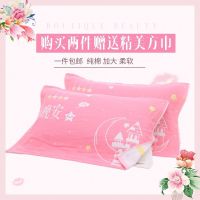 四层纱布加厚加大不掉毛成人情侣学生档枕巾
