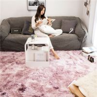 ins风加厚客厅茶几地毯卧室可爱少女床边飘窗房间榻榻米满铺