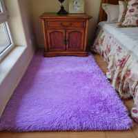 加厚丝毛丝绒地毯卧室床边毯客厅房间满铺飘窗榻榻米 可定做