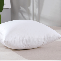 2只装沙发靠垫芯床头靠枕芯弹性枕芯腰枕芯可水洗45 50方枕芯