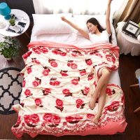 四季法兰绒冬季保暖毛毯床单加绒毯子双人绒盖毯
