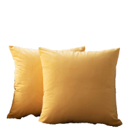 北欧天鹅绒抱枕靠垫客厅腰枕套沙发靠枕床头抱枕套不含芯大号靠背