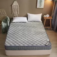 床垫加厚1.5米床垫子1.8米双人榻榻米床垫可订做定制床垫床褥