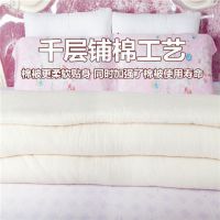 棉絮棉被子棉胎垫被棉被芯垫被床垫褥子冬被加厚学生宿舍被芯铺被
