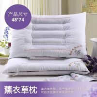 决明子枕头枕芯一对装一只装枕心护颈枕单人枕保健枕