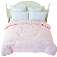 儿童被子秋冬四季通用1.5米1.2被芯纯棉被春秋被冬被幼儿园空调被