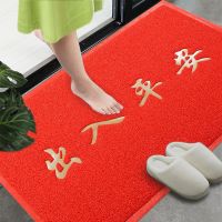进门垫入户家用垫子防滑丝圈加厚出入平安大门口欢迎光临地毯