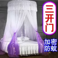 加密三开门圆顶吊顶蚊帐双人大床蚊帐榻榻米通用公主床吊挂蚊帐子