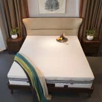 乳胶床垫宿舍床垫酒店席梦思东南亚旅游店同款床垫一米八一米五床