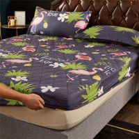 不褪色夹棉防滑床罩床笠单件加厚棕垫保护套全包棕垫床垫套