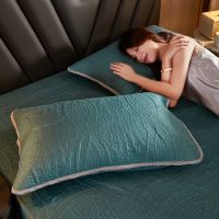 防螨枕套一对装防水枕巾头油单人枕头套保护枕芯套48*74cm