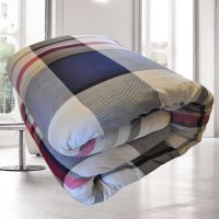 棉絮棉被学生垫被棉胎棉花被子单人床垫被芯褥子春秋冬被被褥10。