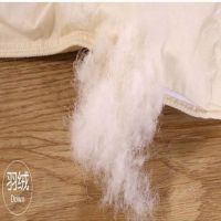 羽绒被白鹅绒加厚8斤10斤被子冬被春秋被子被芯单双人